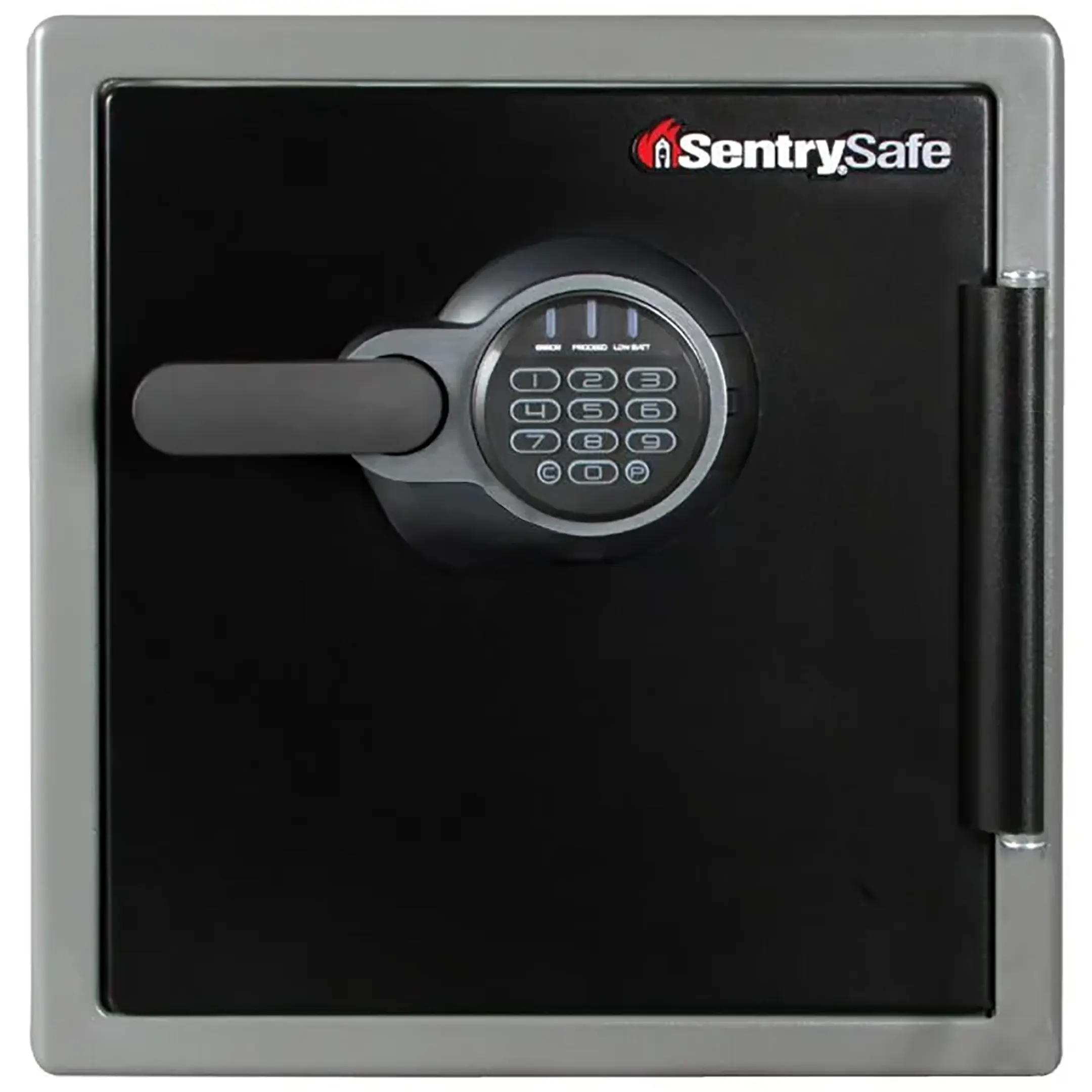 огневодостойкий сейф sentrysafe sfw 123 ftc